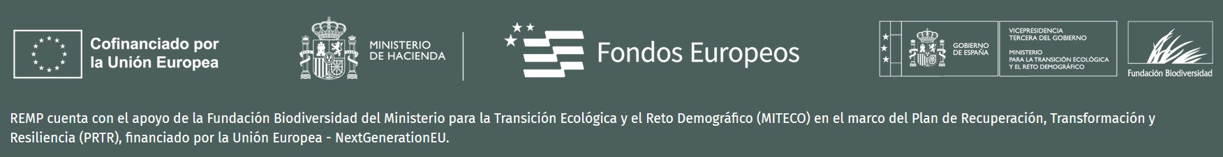 logos remp